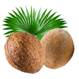 Brown Coconut (Nariyal), 1pc - 450-500gm